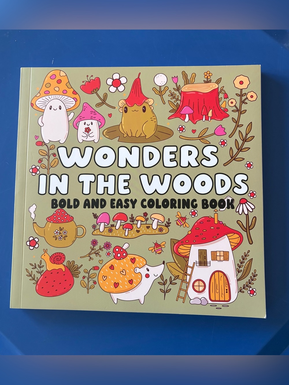 Wonders in the Woods Bold and Easy Coloring Book 54 Pages